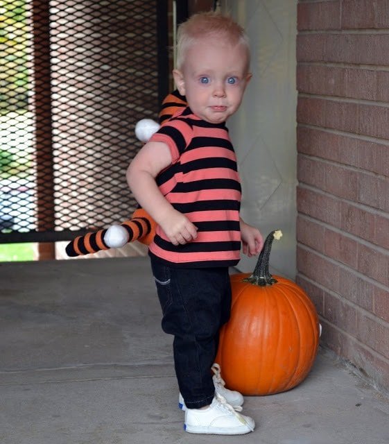 Calvin and Hobbes Halloween Costume