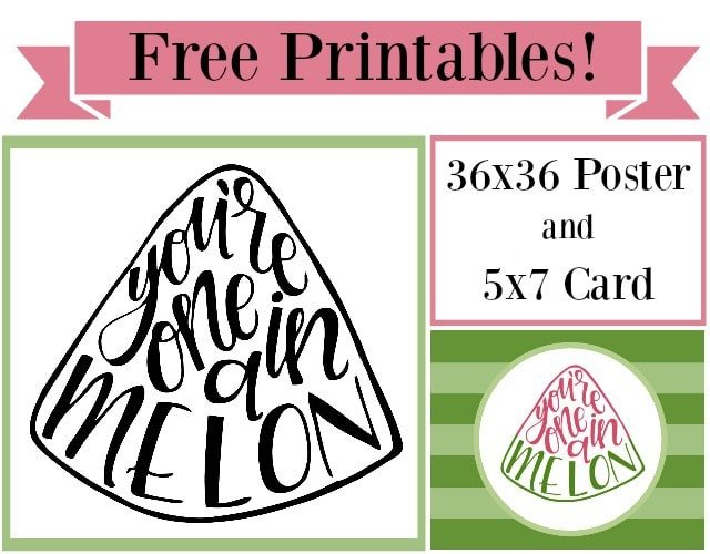 "One in a MELON" Party with Free Printables