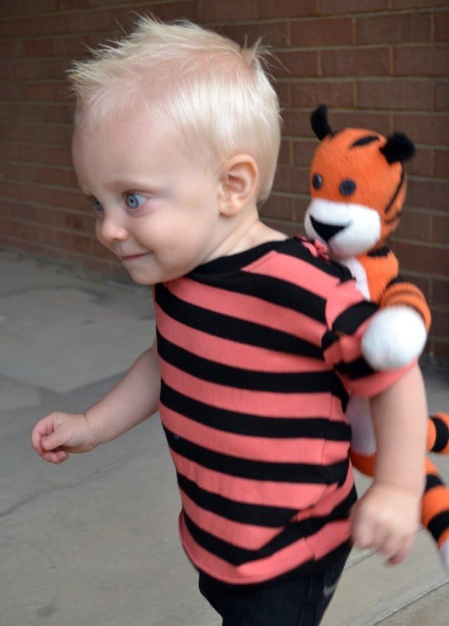 diy calvin and hobbes costume