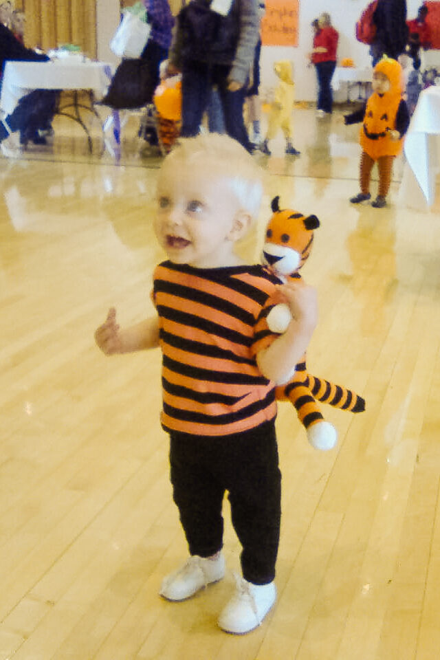 DIY Calvin and Hobbes Costume