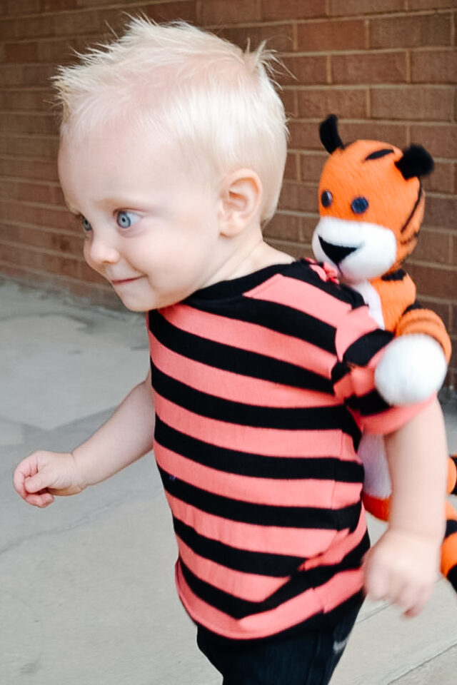DIY Calvin and Hobbes Costume little boy