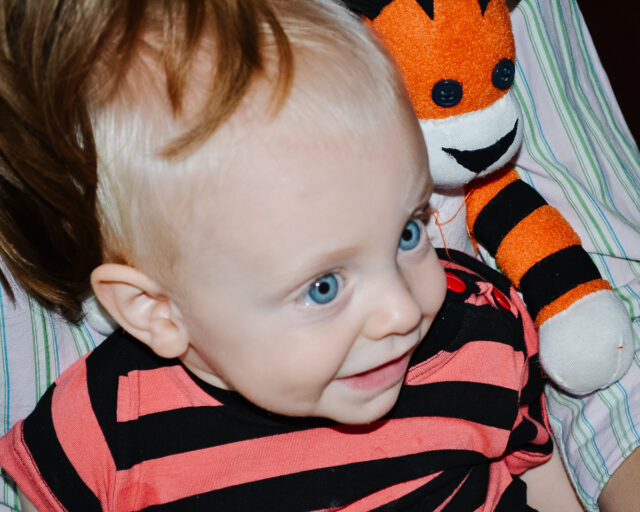 DIY Calvin and Hobbes Costume