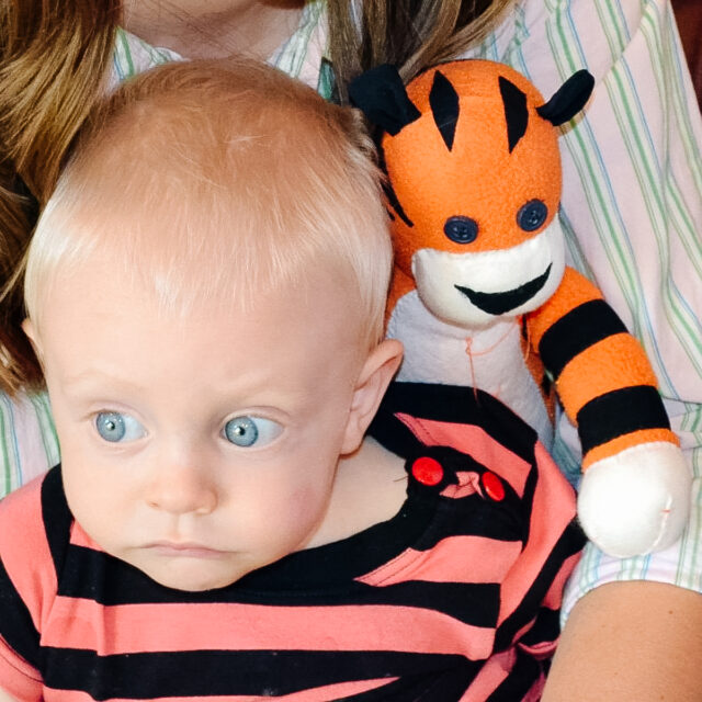 DIY Calvin and Hobbes Costume