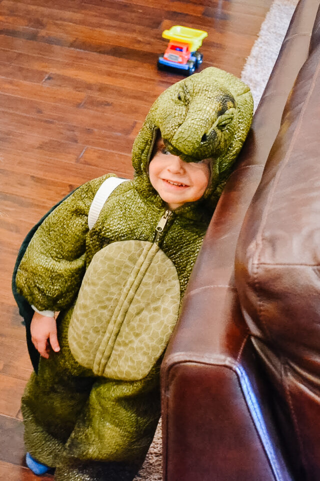 diy dragon wings costume