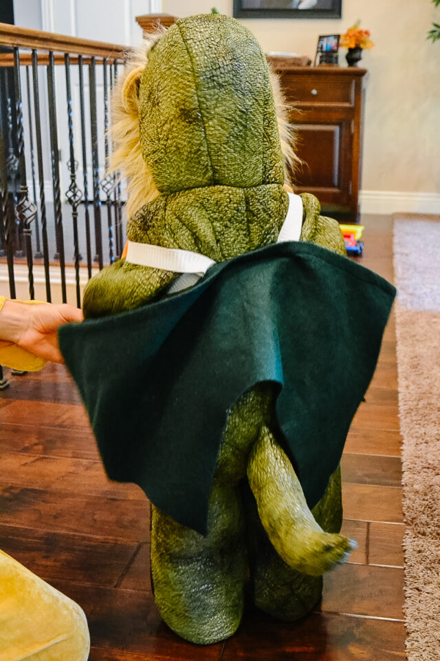 diy dragon wings costume