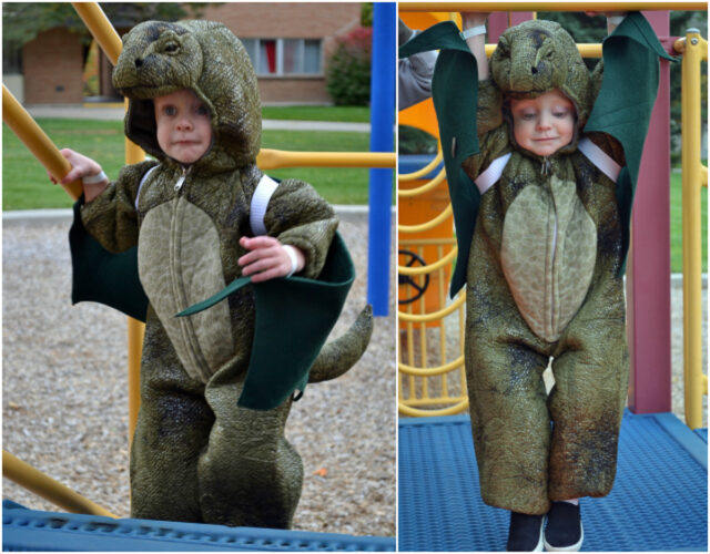 diy dragon wings costume