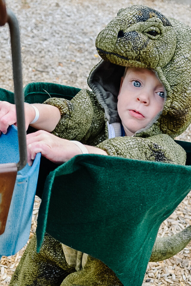 diy dragon wings costume