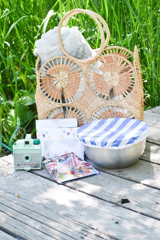 picnic with snack pouches