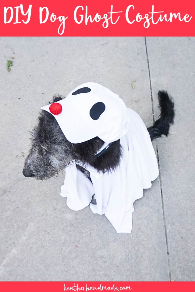 how to make your dog a ghost costume