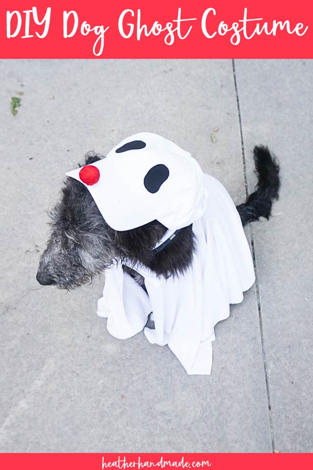 diy dog ghost costume