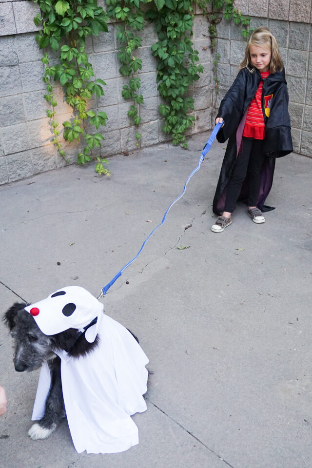 diy patronus costume