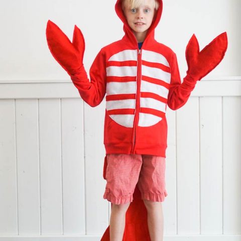 easy diy lobster costume