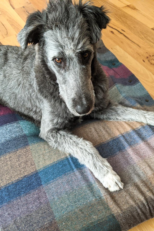 how to sew a dog bed