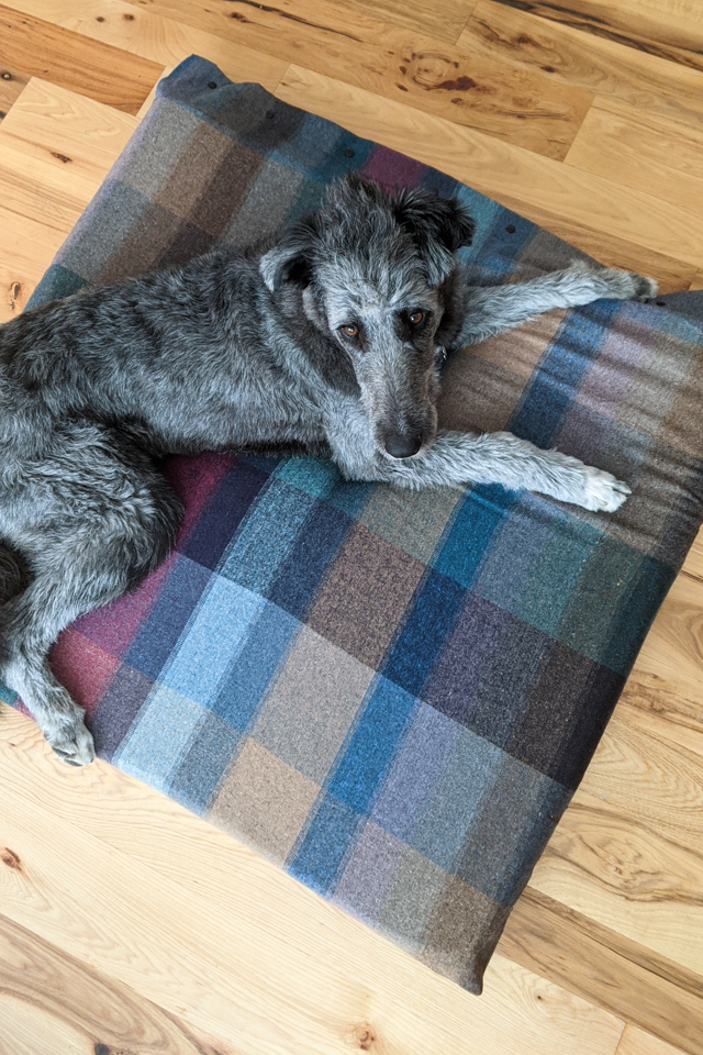 How to Sew a Dog Bed