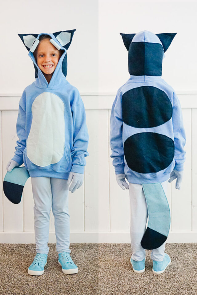 diy bluey costume