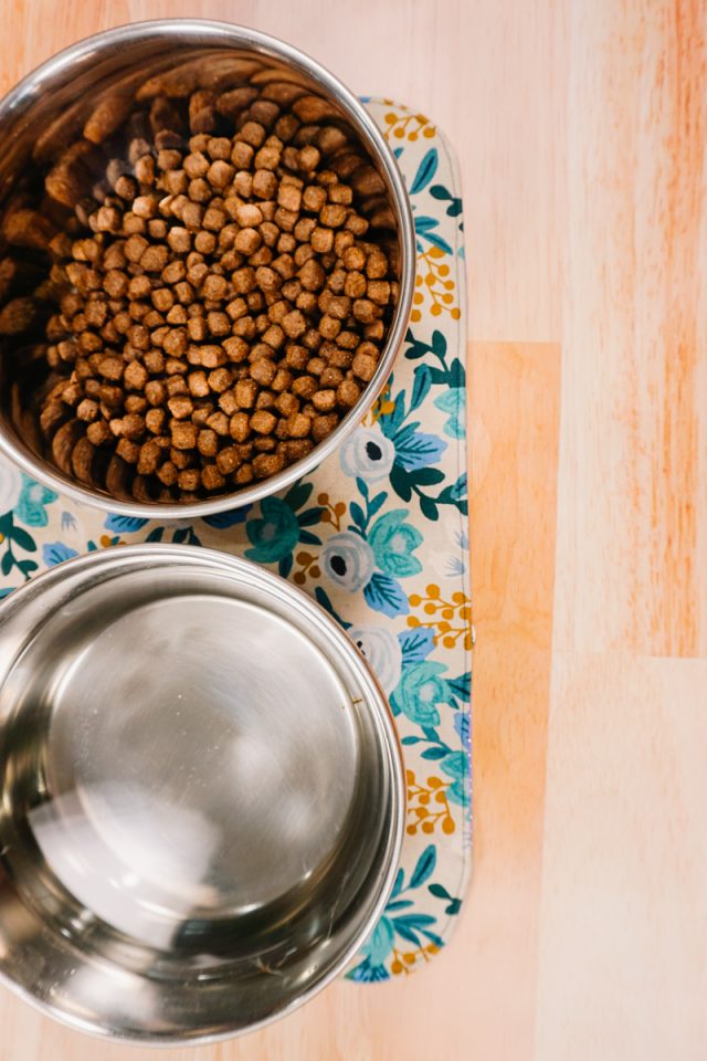 DIY Dog Bowl Mat