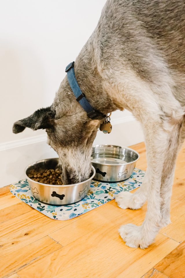 DIY Dog Bowl Mat • Heather Handmade