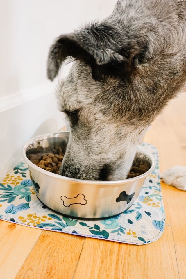 Yummy non-slip bowl mat for dogs. Sewing pattern