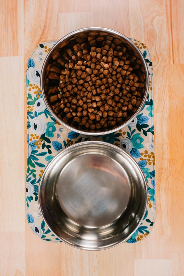 DIY Dog Bowl Mat