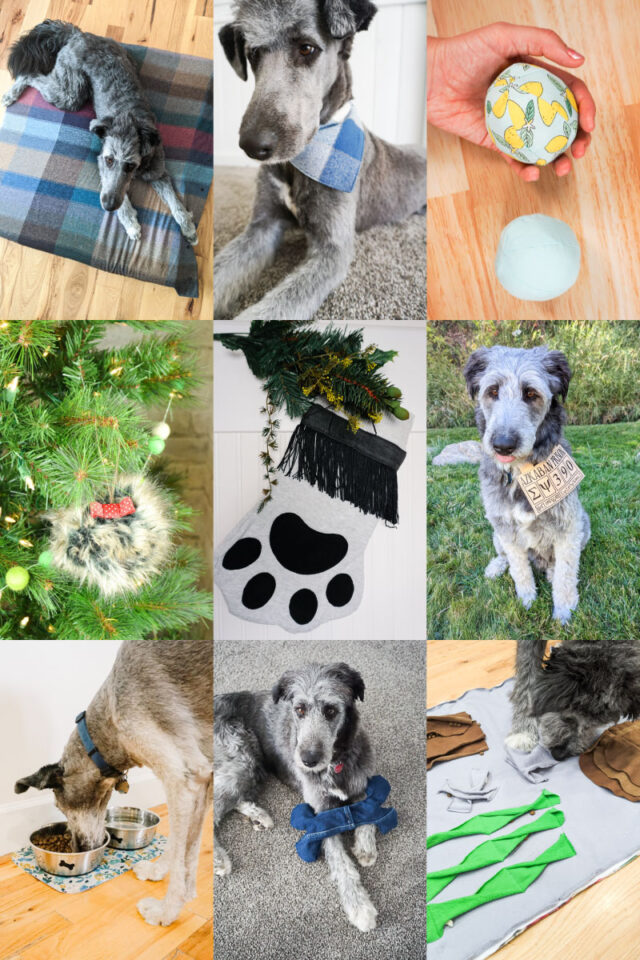 13 Sewing Projects for Dogs