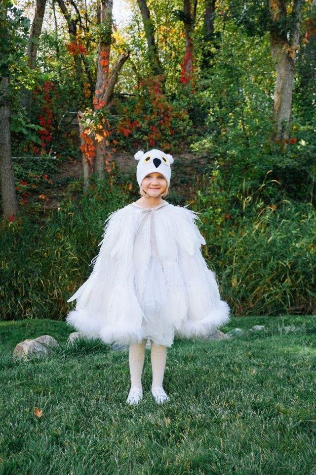 DIY Owl Costume