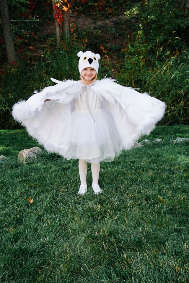 DIY Owl Costume