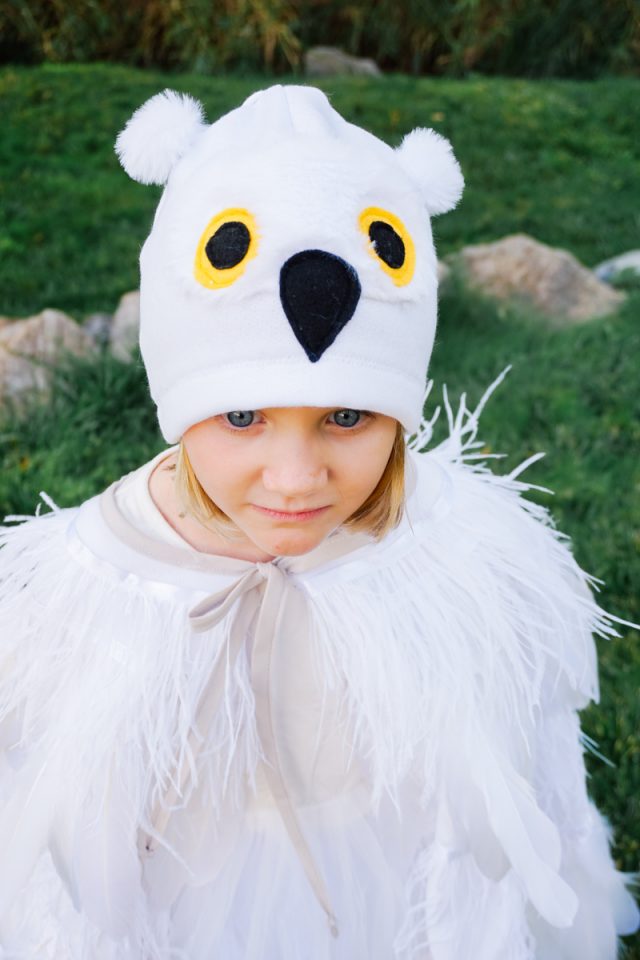 DIY Owl Costume