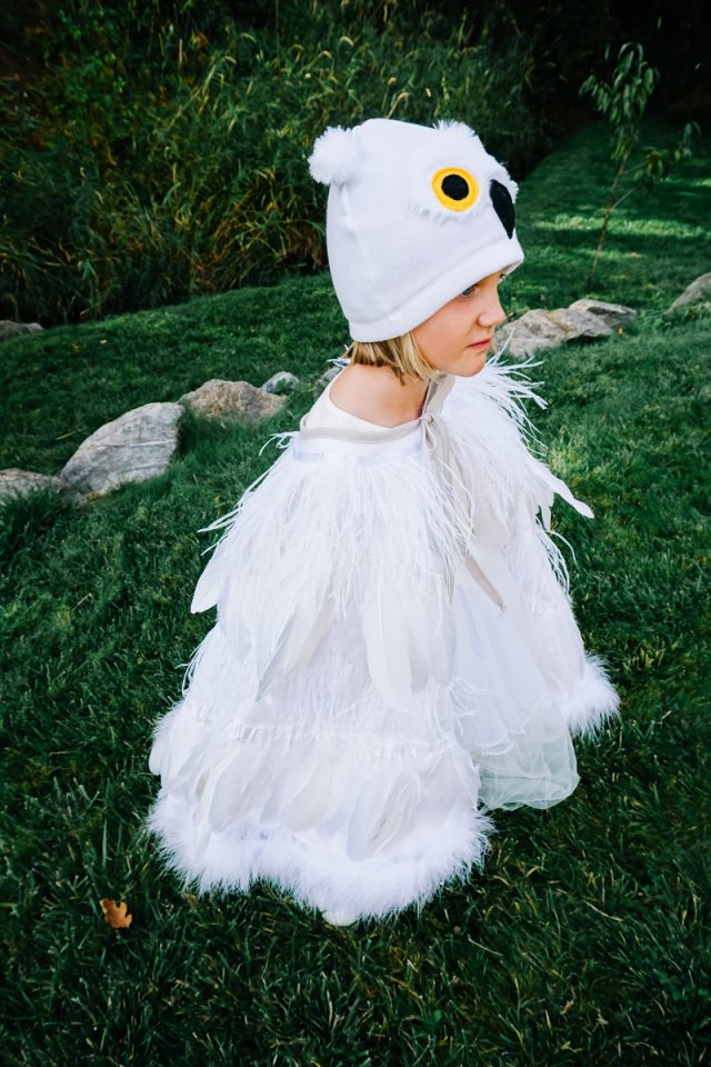 DIY Owl Costume