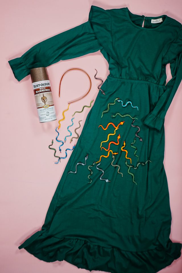 DIY Medusa Costume supplies