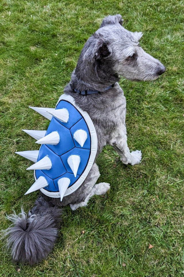 diy blue shell costume