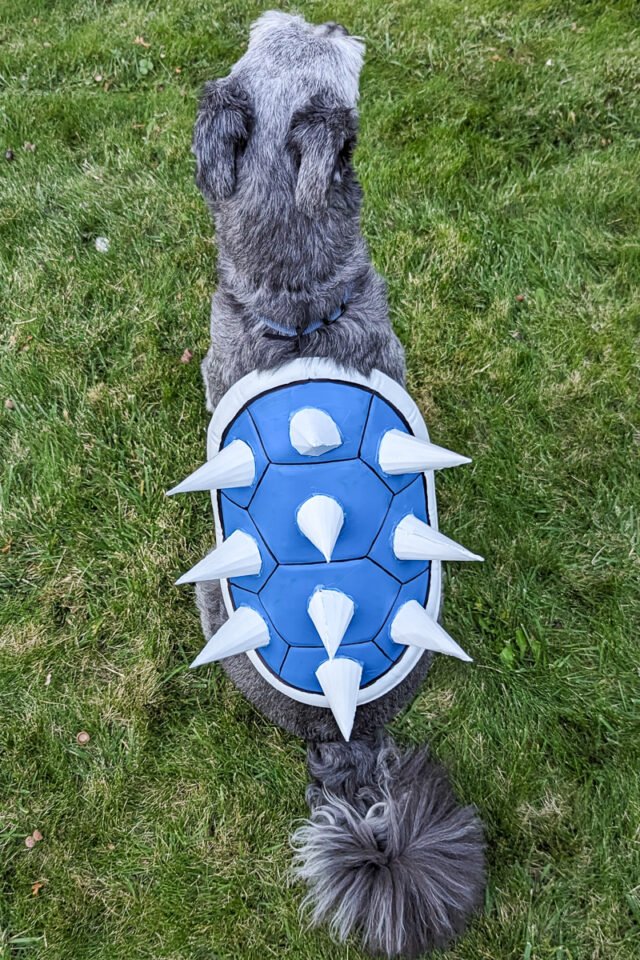 DIY Blue Shell Costume (From Mario)