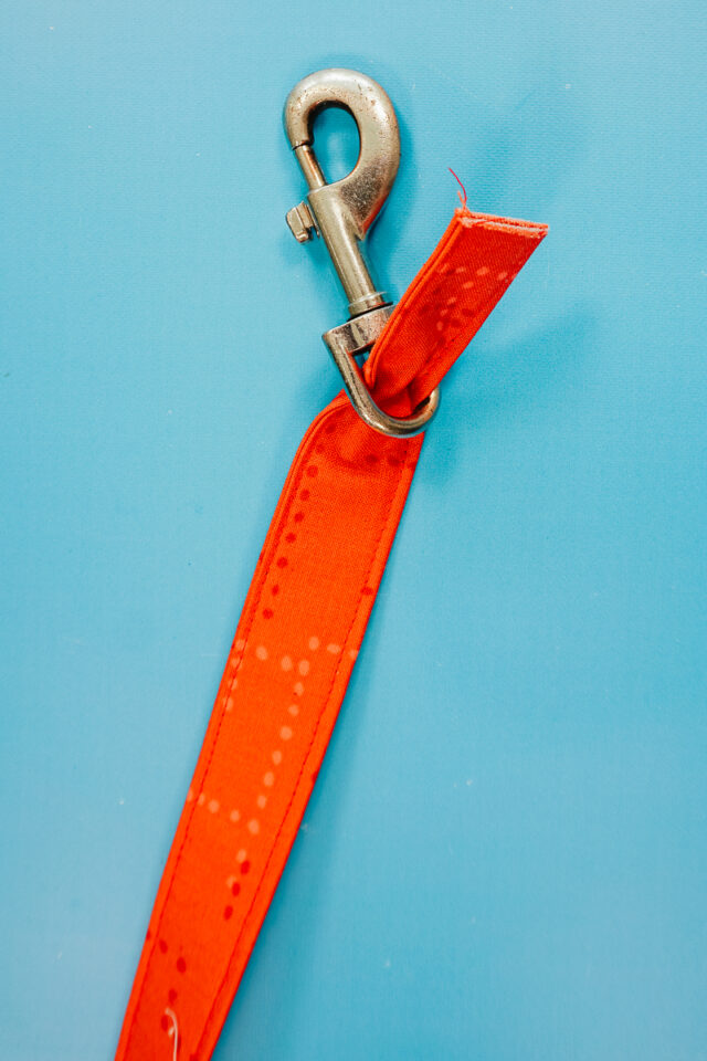 slide lobster claw onto leash