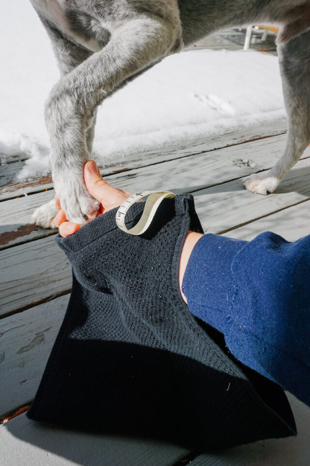 diy dog paw towel