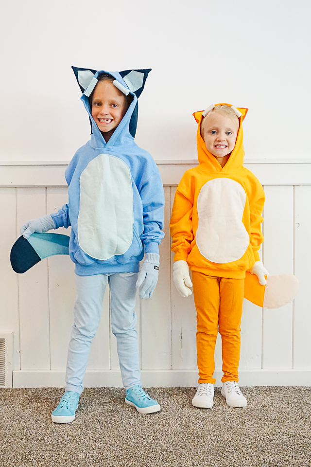 DIY bluey family costume