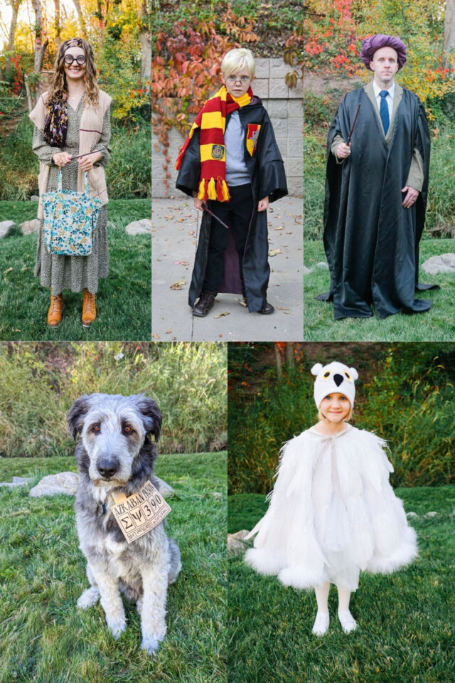 diy harry potter family costume