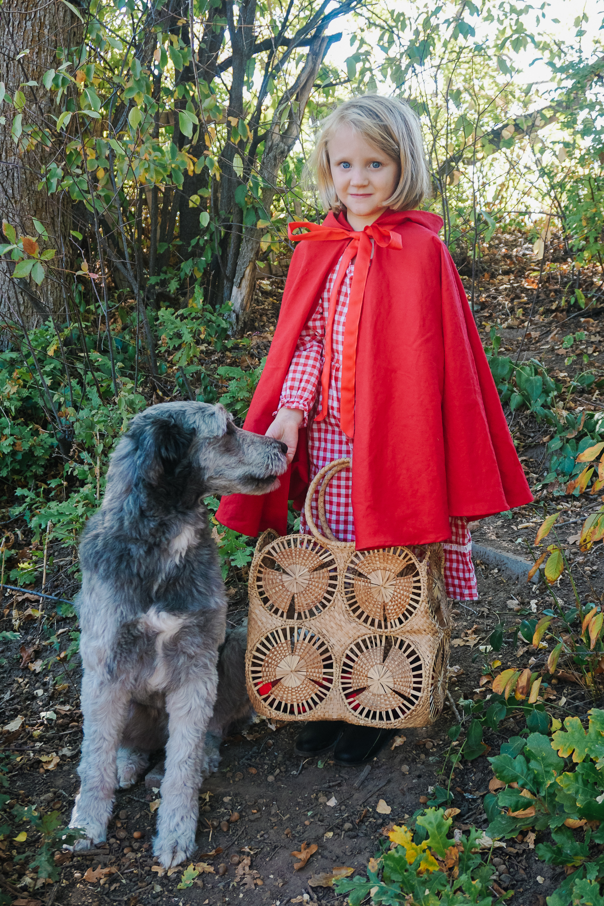 little red riding hood free cloak sewing pattern