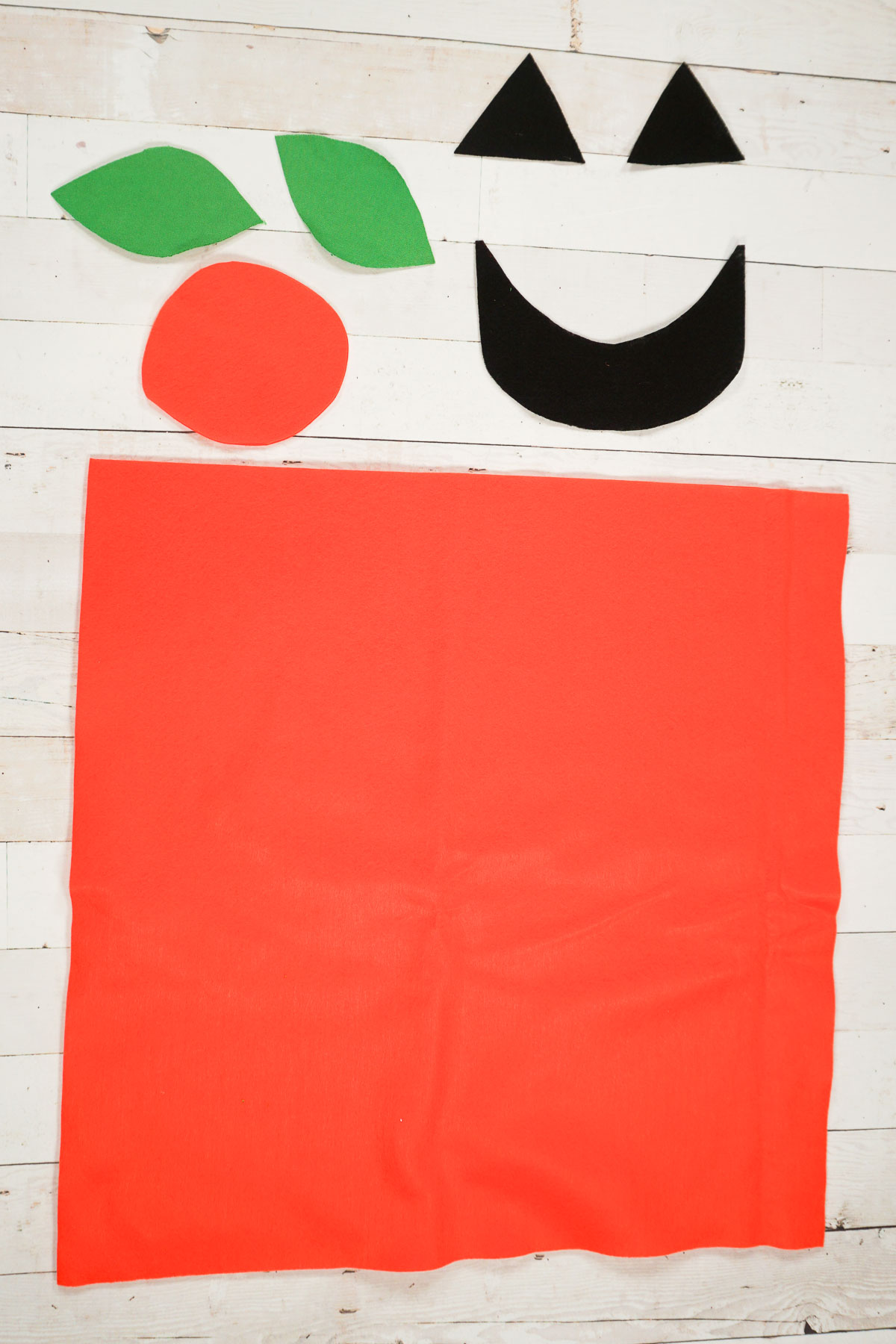 cut out pumpkin pieces