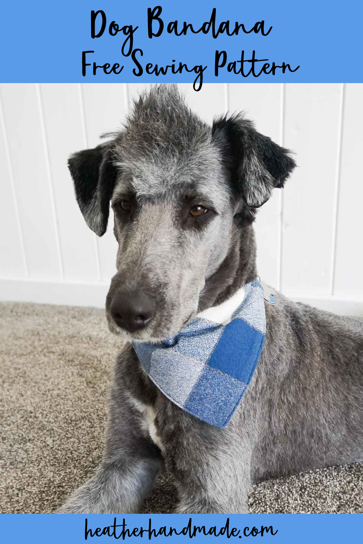 Free Dog Bandana Sewing Pattern