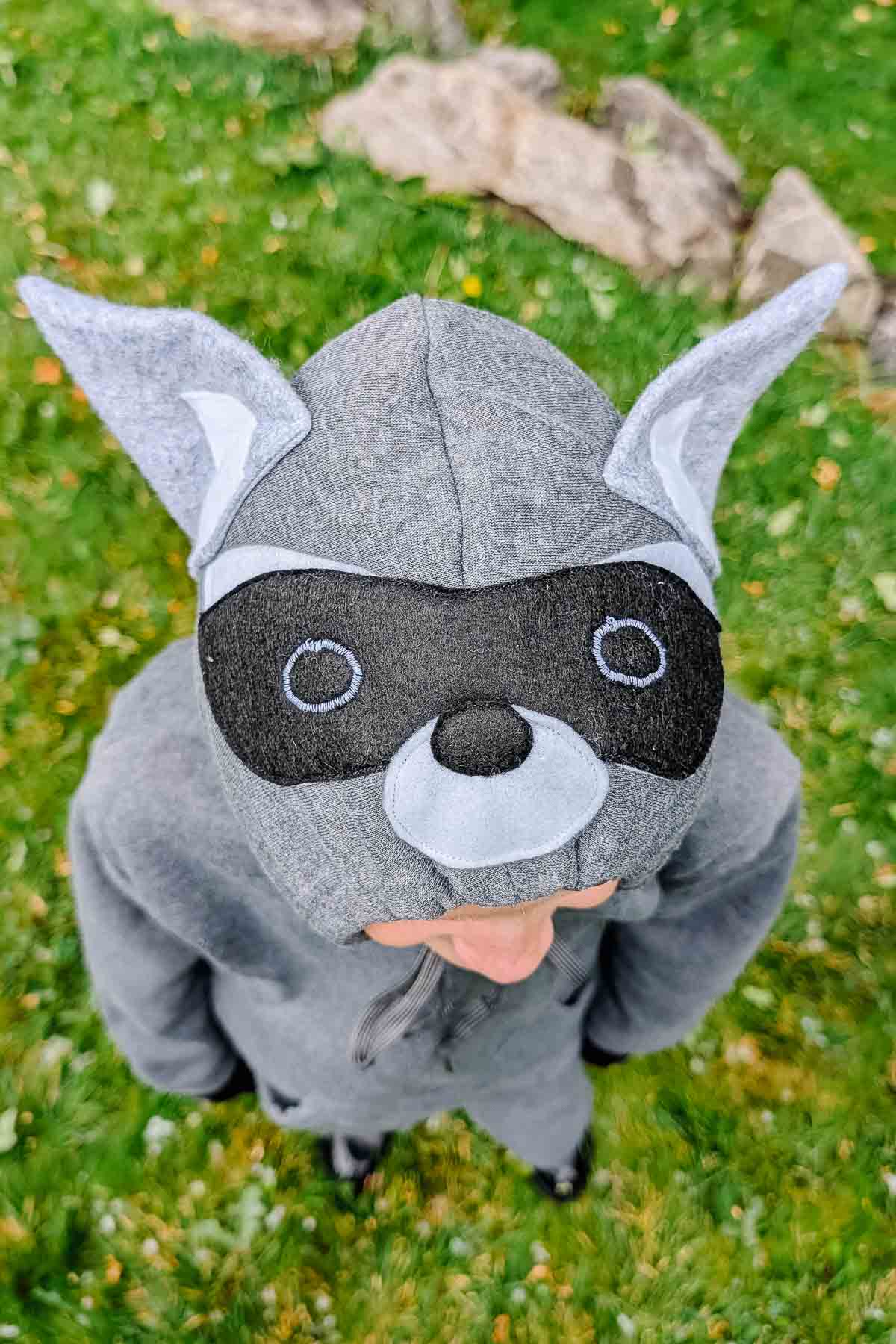 easy diy raccoon costume