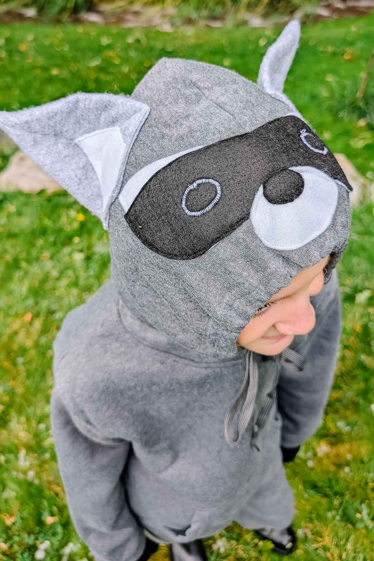 easy diy raccoon costume