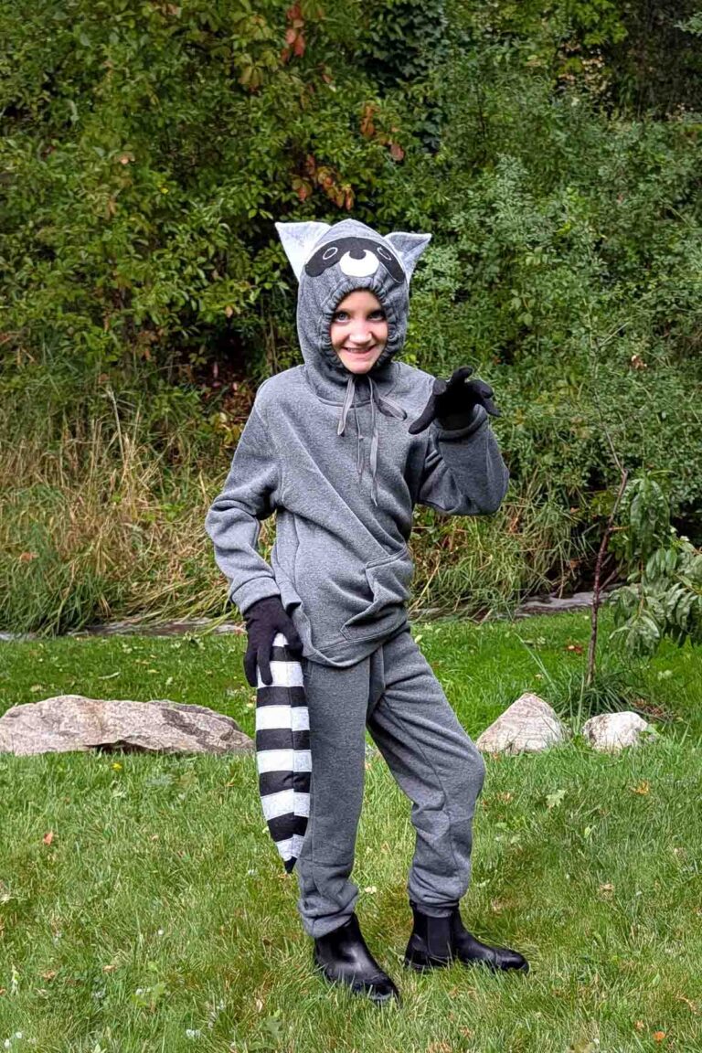 easy diy raccoon costume
